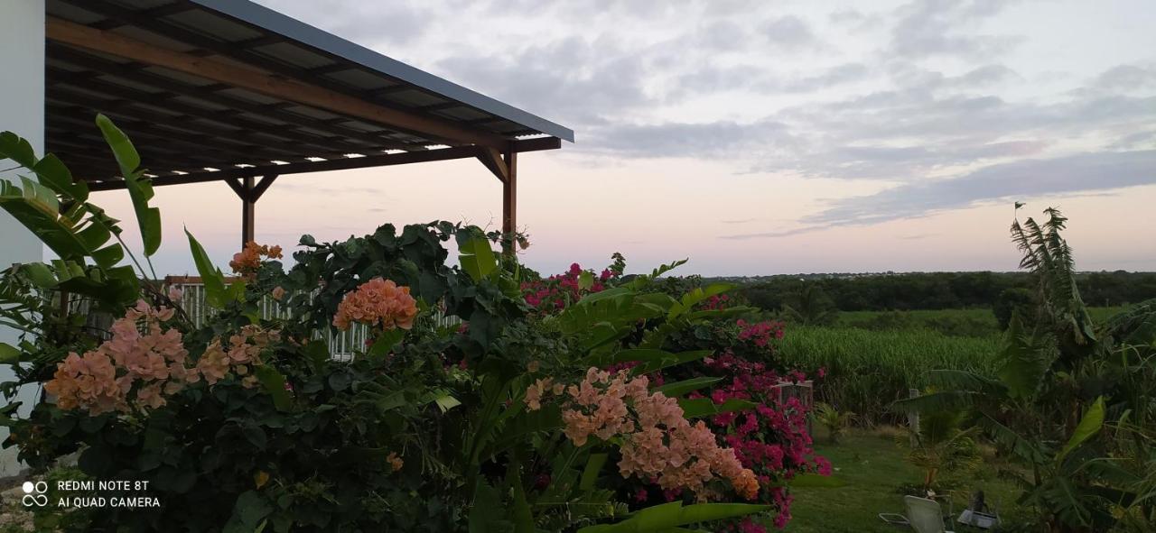 Kaz A Klemence Gite Creole Avec Piscine Et Table Dhotes A Anse Bertrand Exterior foto