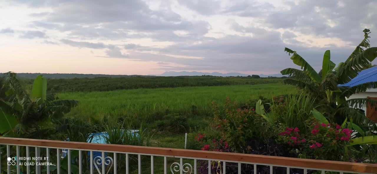 Kaz A Klemence Gite Creole Avec Piscine Et Table Dhotes A Anse Bertrand Exterior foto
