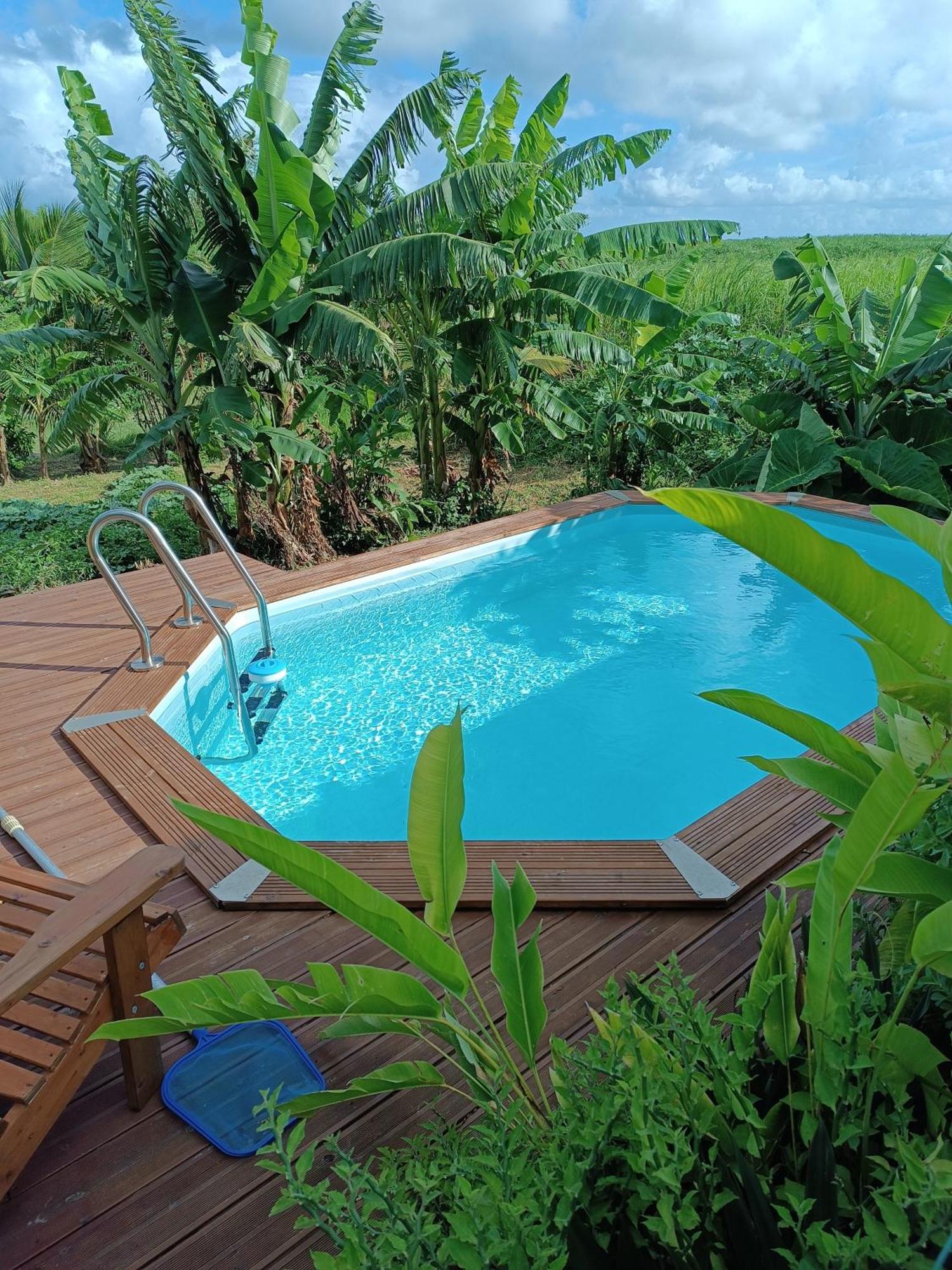 Kaz A Klemence Gite Creole Avec Piscine Et Table Dhotes A Anse Bertrand Exterior foto